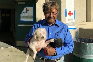 California Wildfires