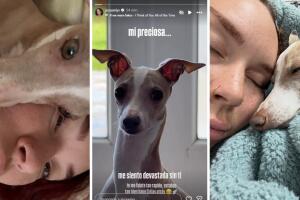 Jesaaelys y Arielpi eran inseparables
