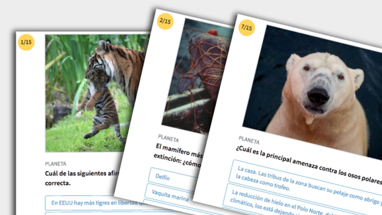 Sabes Cuanto Pesa Un Oso Polar Test: ¿Cuánto sabes de las especies en riesgo de extinción? | Noticias  Univision Planeta | Univision