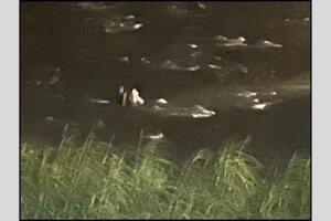 mamá hijo rescatados corriente Río Grande atrapados Mission Texas