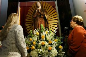 Guadalupe8.jpg