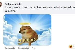 Reacciones al caso de la niña que mordió a una serpiente