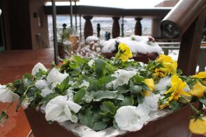 Sedona, un pequeño pueblo al norte de Arizona que se viste de blanco