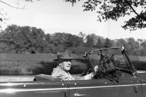 President Roosevelt Driving with Dog
