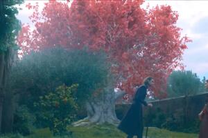 House of the Dragon árbol Weirwood llanto explicado.jpg