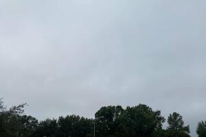 Arlotta Analia‎.jpg