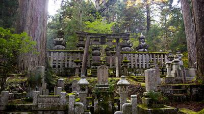 Luna de miel ¿destinos muy diferentes a lo tradicional? Para l@s amantes de lo espeluznante y oscuro 2