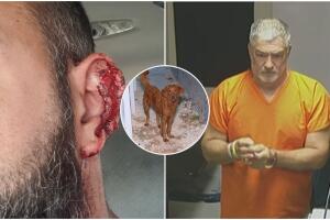 hombre acusado atacar machetazos vecino suroeste Miami-Dade perro