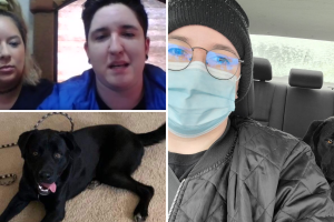 perro.png