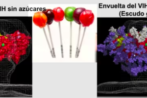 Provista por el autor
