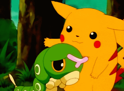 giphy111111.gif