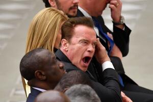 Arnold Schwarzenegger