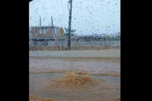 Tapones y caos en zona metro debido a lluvias