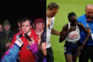 Collage sin título.jpg