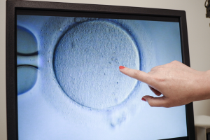 Screen Shot 2024-02-21 at 16.08.02.png