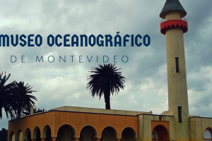 museo-oceanografico_1.png