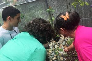 Inauguran mariposario en Puerto Rico