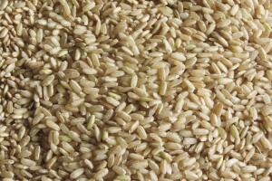 arroz-integral_3.jpg