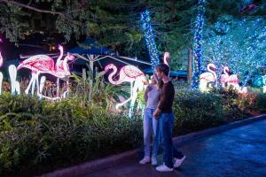 SeaWorld Orlando y Aquatica celebran la temporada navideña con millones de luces, espectáculos familiares, gastronomía temática y el estreno del festival nocturno ILLUMINATE.
