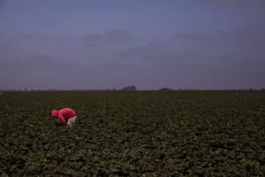 California at a Crossroads Housing Woes