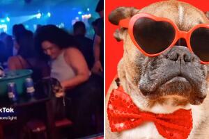 No tenía quien cuidara a su perrito y se lo llevó al club nocturno: “bailaron el paso del perrito”