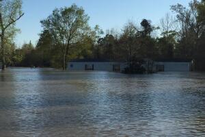 Deweyville, Texas se encuentra bajo el agua