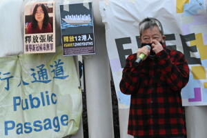 periodista china Zhang Zhan, coronavirus