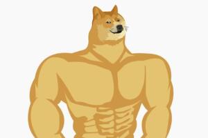 Pero no lleves a tu perro