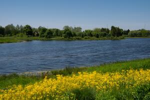 20200602 RJC_0985.jpg