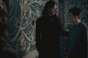 harry_potter_y_sirius_black.jpg