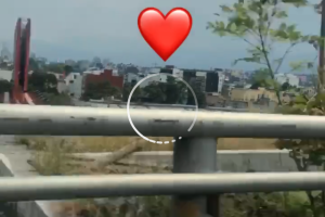 maico9.png