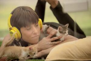 kitten-therapy-2.jpg
