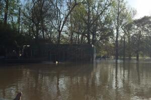 Deweyville, Texas se encuentra bajo el agua