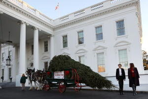 Melania Trump, árbol de navidad llega a la casa blanca