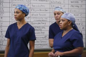 greys_chandra_wilson_2.jpg