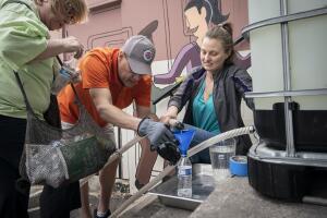 Ira Greene, Callie Stavros