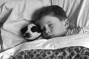 ¿Lo dejas dormir en tu cama?