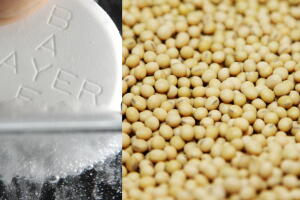 bayer-monsanto.jpg
