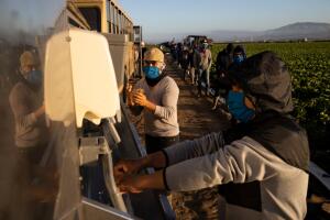 Immigrant Agricultural Workers Critical To U.S. Food Security Amid COVID-19 Outbreak
