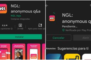 NGL APP collage.jpg