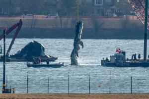 AP26022852681440 (1).jpg