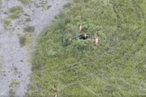 Gracias a la tecnología, el Sheriff logra capturar al ladrón oculto bajo tierra y evitar su escape.