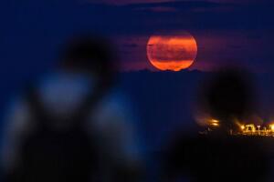pink_moon (2).jpg