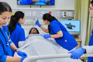 programa enfermería Lehman College nueva york el bronx