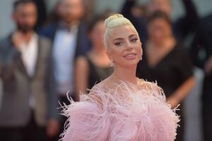 lady_gaga_pink_dress.jpg