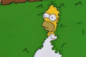 homero_e3.jpg