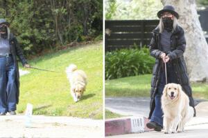 Diane Keaton salía a caminar por el barrio junto a su mascota Reggie