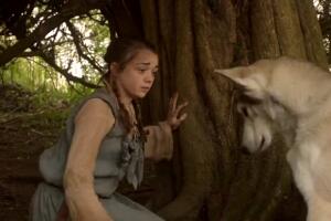 game-of-thrones-arya-nymeria-got.jpg