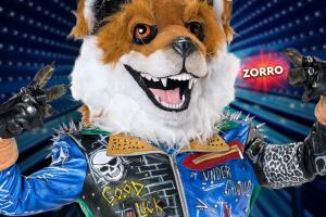 Zorro.jpg