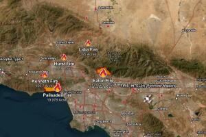 WhatsApp Image 2025-01-10 at 9.59.06 AM.jpeg